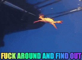 Swimming Crab Fight Me GIF by Justin