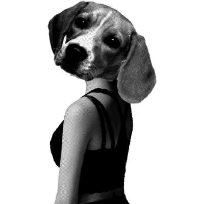 1084909_1_bitch-night_400.jpg