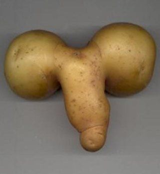 suggestive-potato-01.jpg