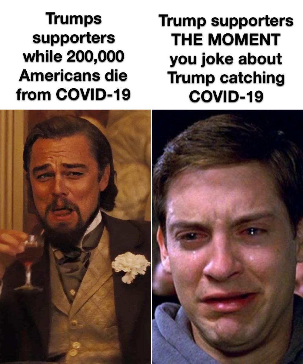 1h6inzfuvpq51.jpg