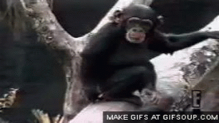 source.gif