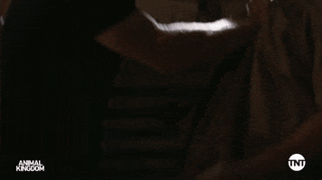 S5 GIF by Animal Kingdom on TNT
