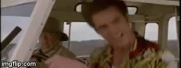 tenor.gif