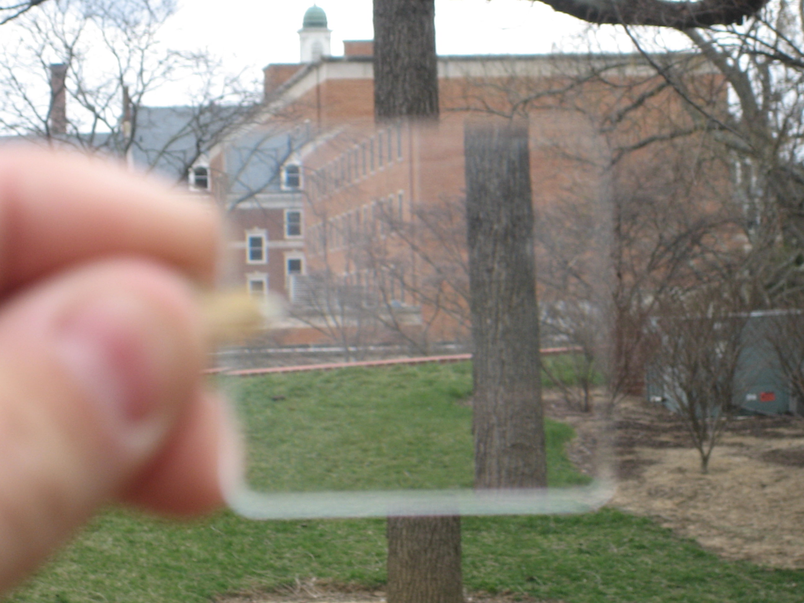 WedgePrism(Out_Tree).jpg