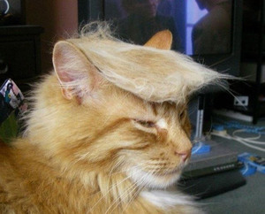 donald-trump1.jpg