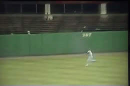 tumblr_mkjs8cRF6b1qhee4jo1_400.gif