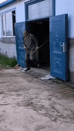 diamond-bags-11.gif