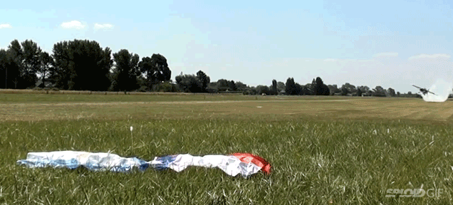 780700564799069250.gif