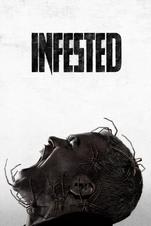 www.themoviedb.org