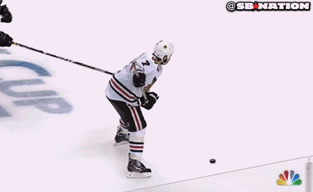 bhawkswin_medium.gif