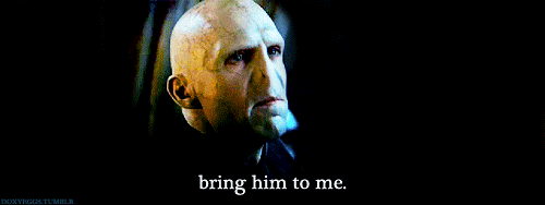 tumblr_lmy7n31RrY1qbqc9ko1_500.gif