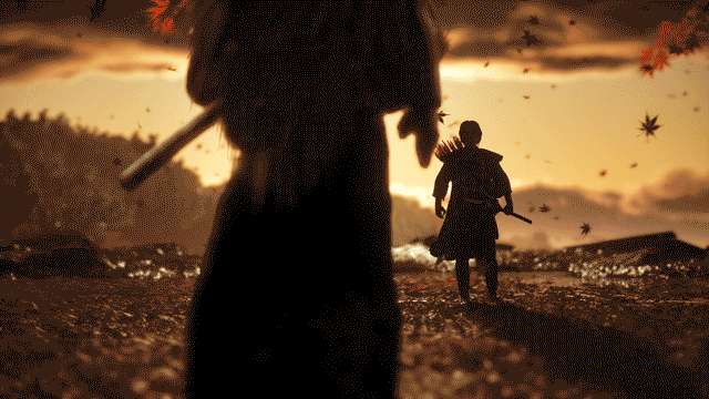 41062475530_759de824b3_o.gif