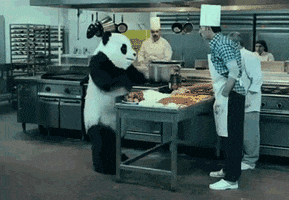 angry panda GIF
