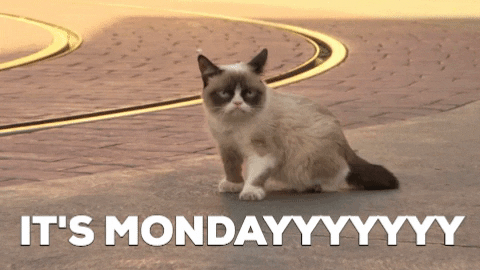 178c79093c630d9920a4091e315f9bc6.gif
