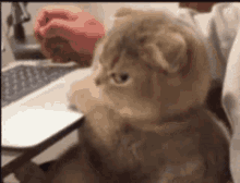 annoyed-disappointed.gif