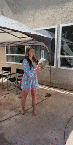Gourdgeous7346.gif