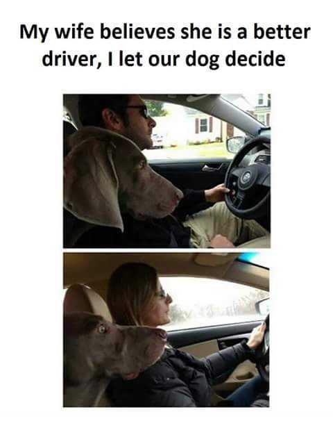 8fe96g4nztvz.jpg