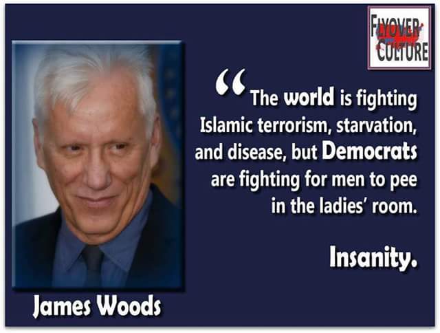 democrat-insanity.jpg