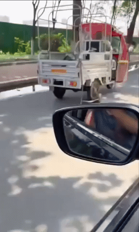 Madness3162.gif