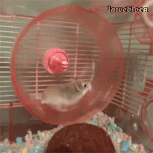 tumblr_mwf6q6KBfd1s2gg27o1_400.gif
