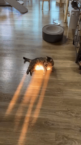 BackToSchool0175.gif