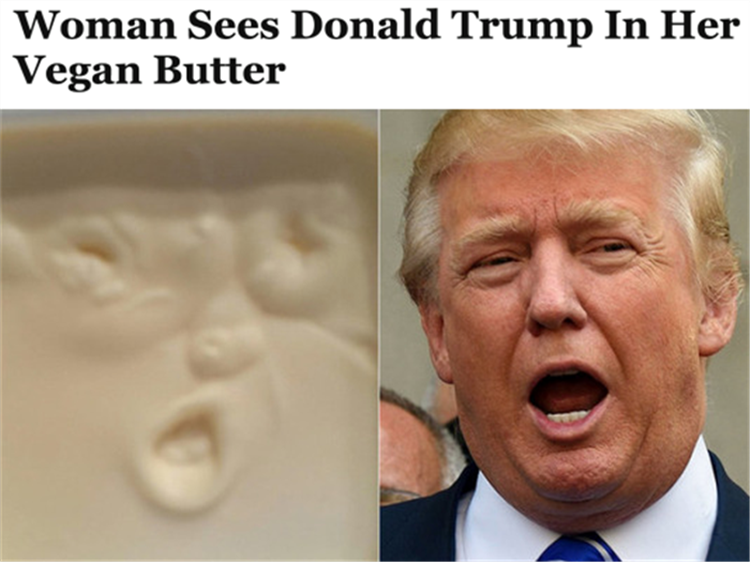 the-best-funny-pictures-of-donald-trump-in-vegan-butter.png