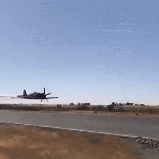 what-a-year-this-week-has-been-12.gif