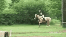 Running Horse GIFs | Tenor