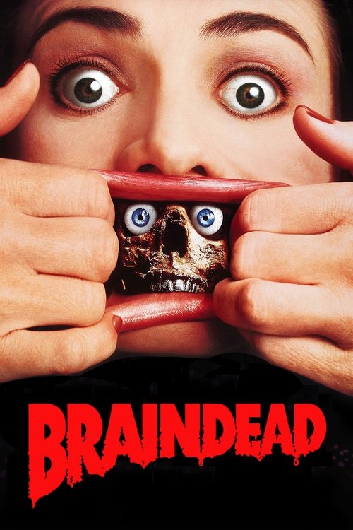 www.themoviedb.org