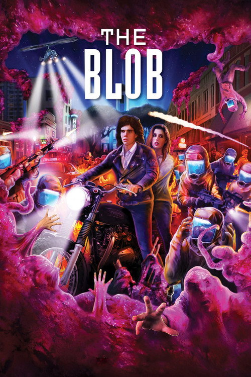 www.themoviedb.org