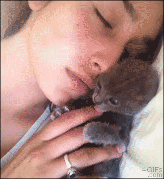 tumblr_n8qabzipBU1qdlh1io1_400.gif