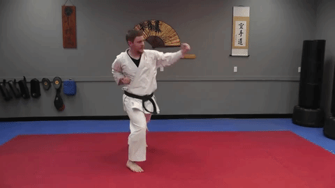 giphy.gif