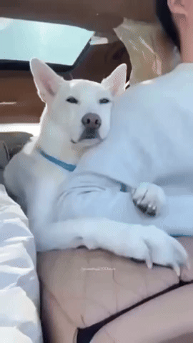 HeatIsOn0420.gif