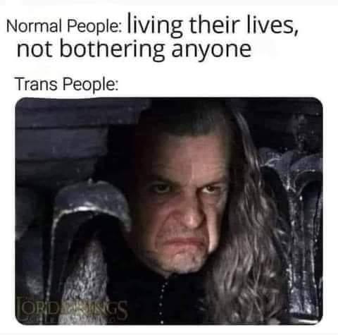 vCCu7Jj8kq3A.jpeg