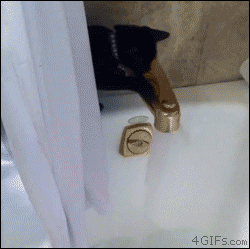 play.gif