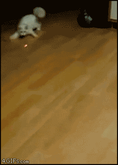 p35adm66wgwy.gif