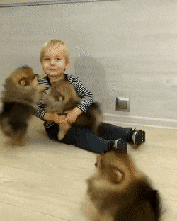FooledYou2253.gif