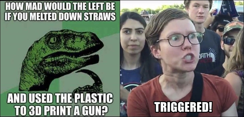 PLASTIC-STRAWS-3D-GUNS.jpg
