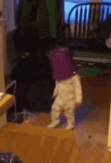 x79vt0dpl6ke1.gif
