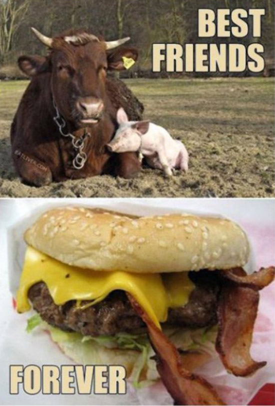 cow-pig-best-friends-bacon-burger.jpg
