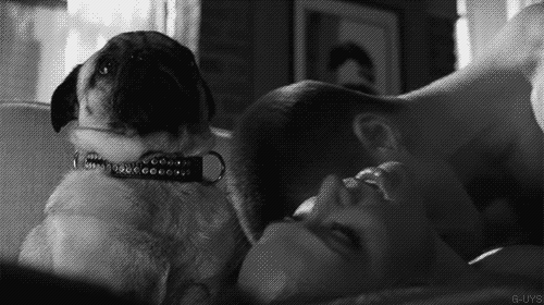 tumblr_mhsiansCdY1rvxs9eo1_500.gif