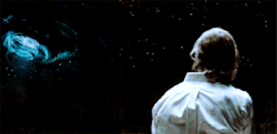 tumblr_n284rmf1fT1so0s3vo1_250.gif