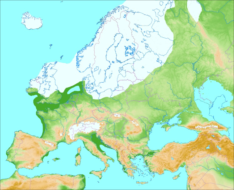 944px-Weichsel-W%C3%BCrm-Glaciation.jpg