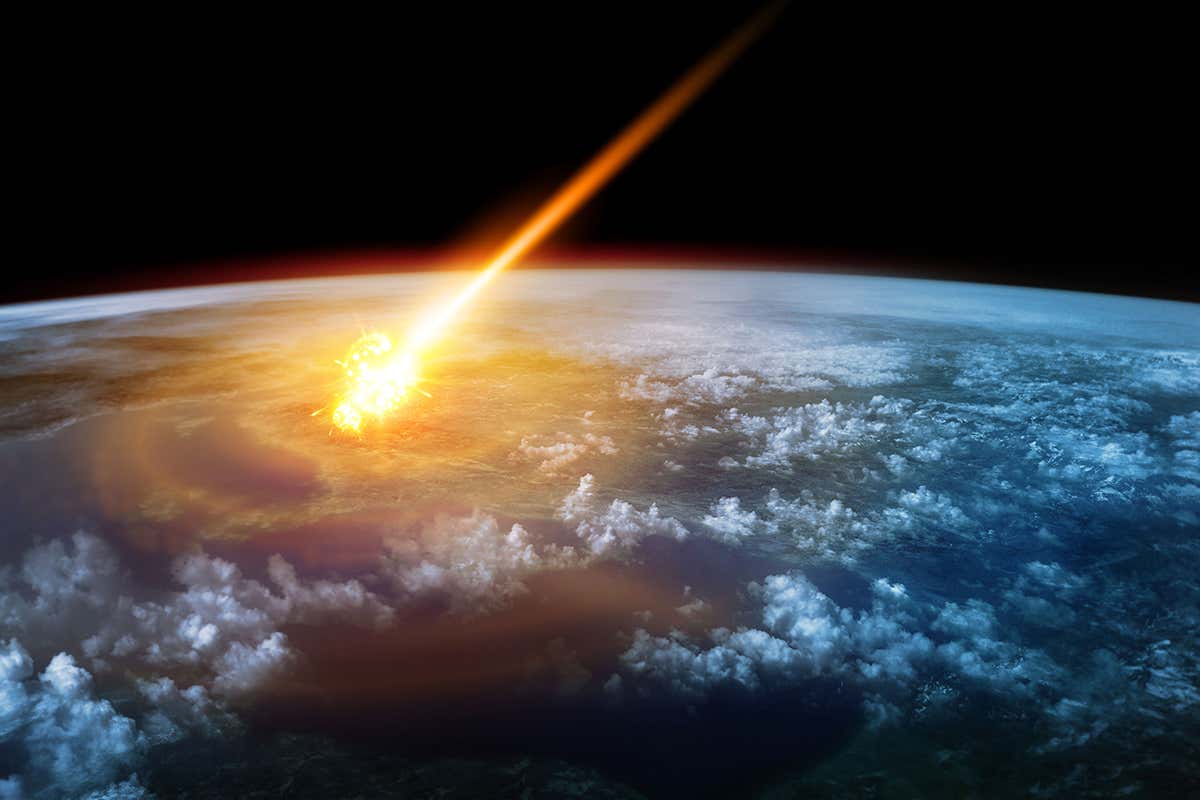 www.newscientist.com