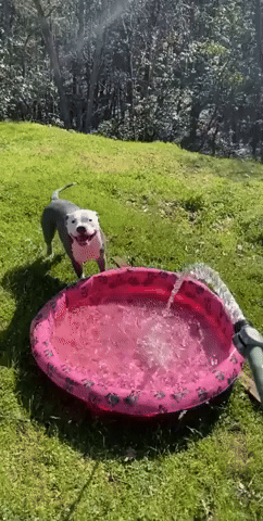 YomKippur0396.gif