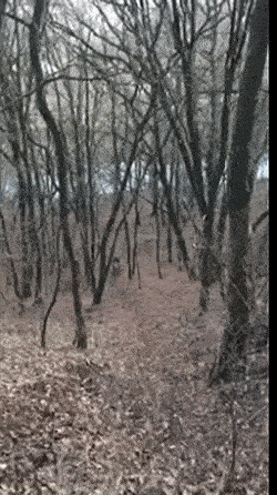 feb-already-how-5.gif