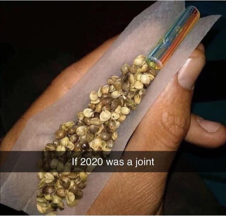 9h14okjqxvv41.jpg