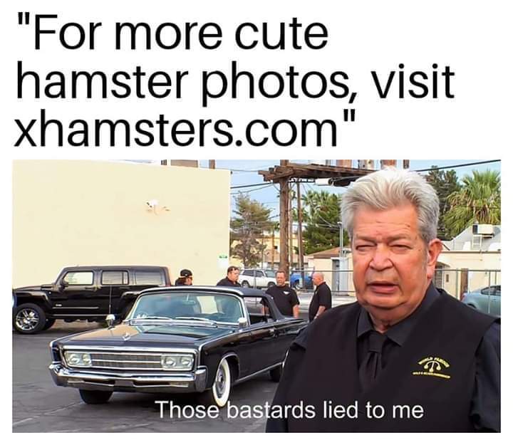 6hjqxmioydh21.jpg