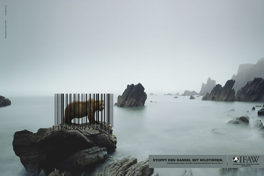 public-social-ads-animals-33.jpg