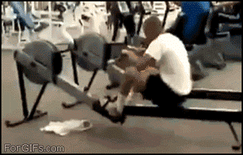 YaQQ.gif